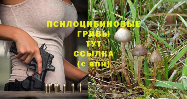 ешки Новокубанск