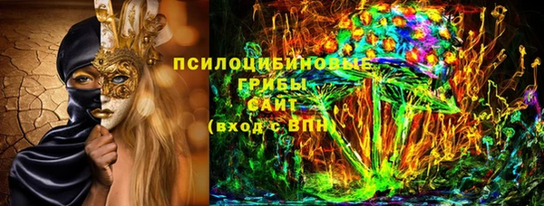 мдпв Нея