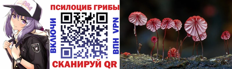 darknet как зайти  где найти   Сергач  Псилоцибиновые грибы Psilocybe 